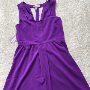 Brand new Forever 21 skater dress